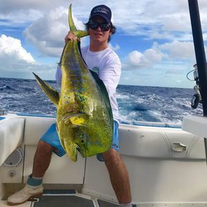 Meet your Posher, Jimmy